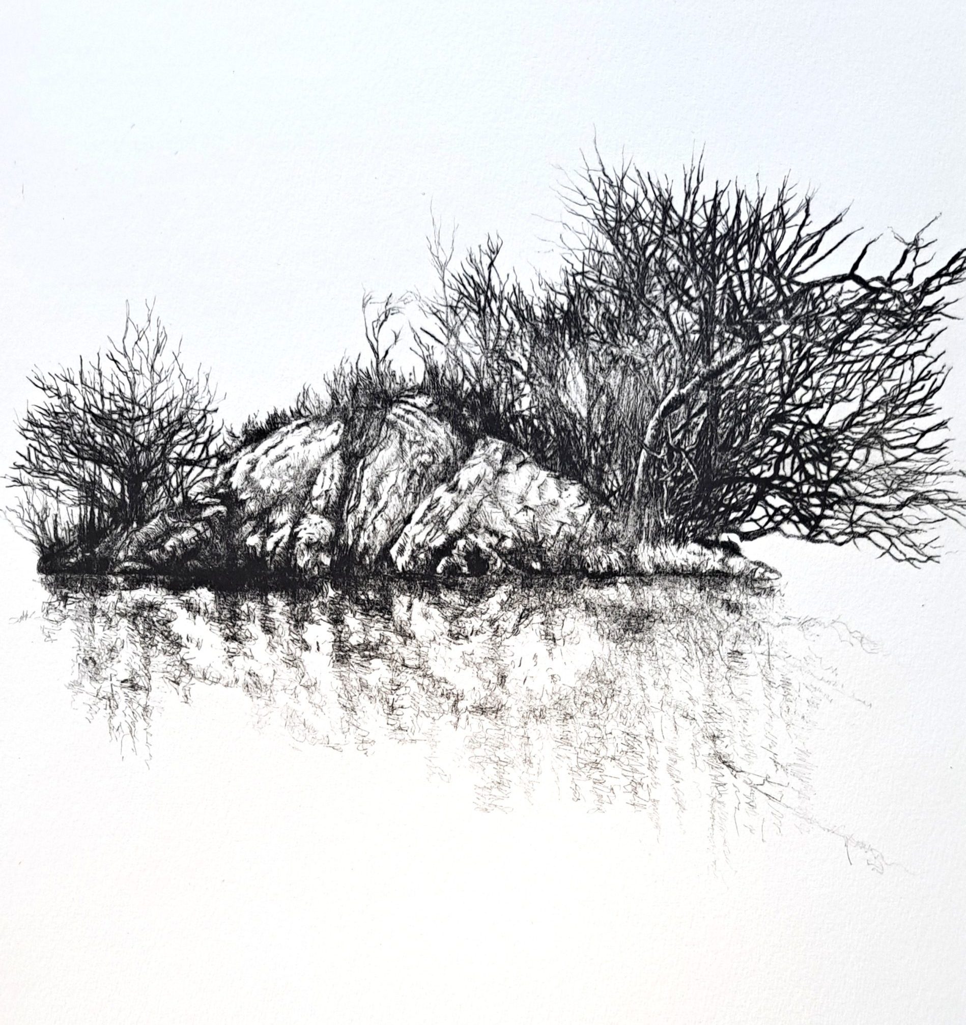 Drypoint etching of a Lake District holme or island