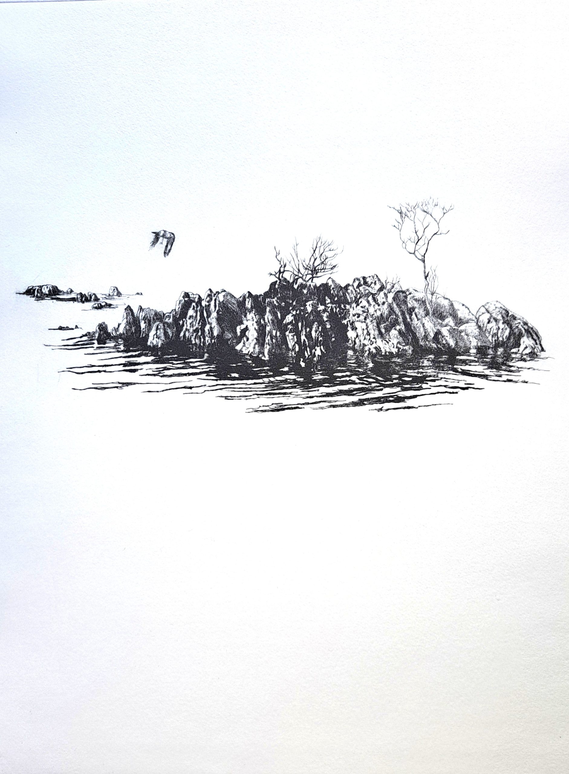 Holme II – Coniston Drypoint etching in black and white by Richard Foster showing a small rocky island.