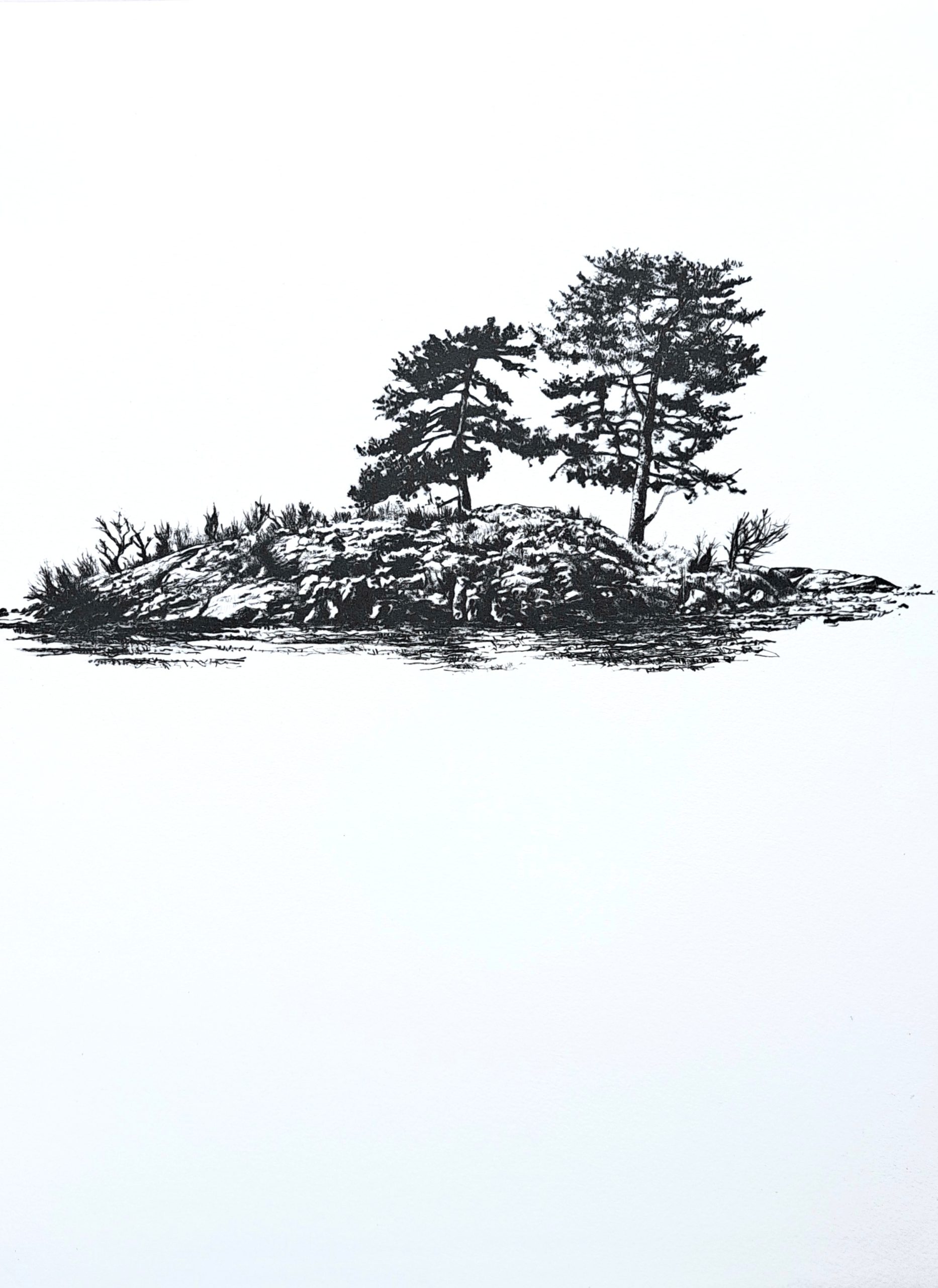 A drypoint etching of an island in the Lake District