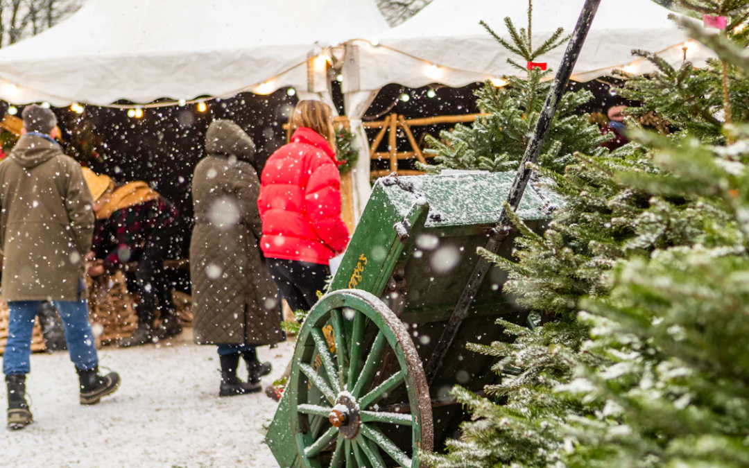 Christmas at Yew Tree Bard